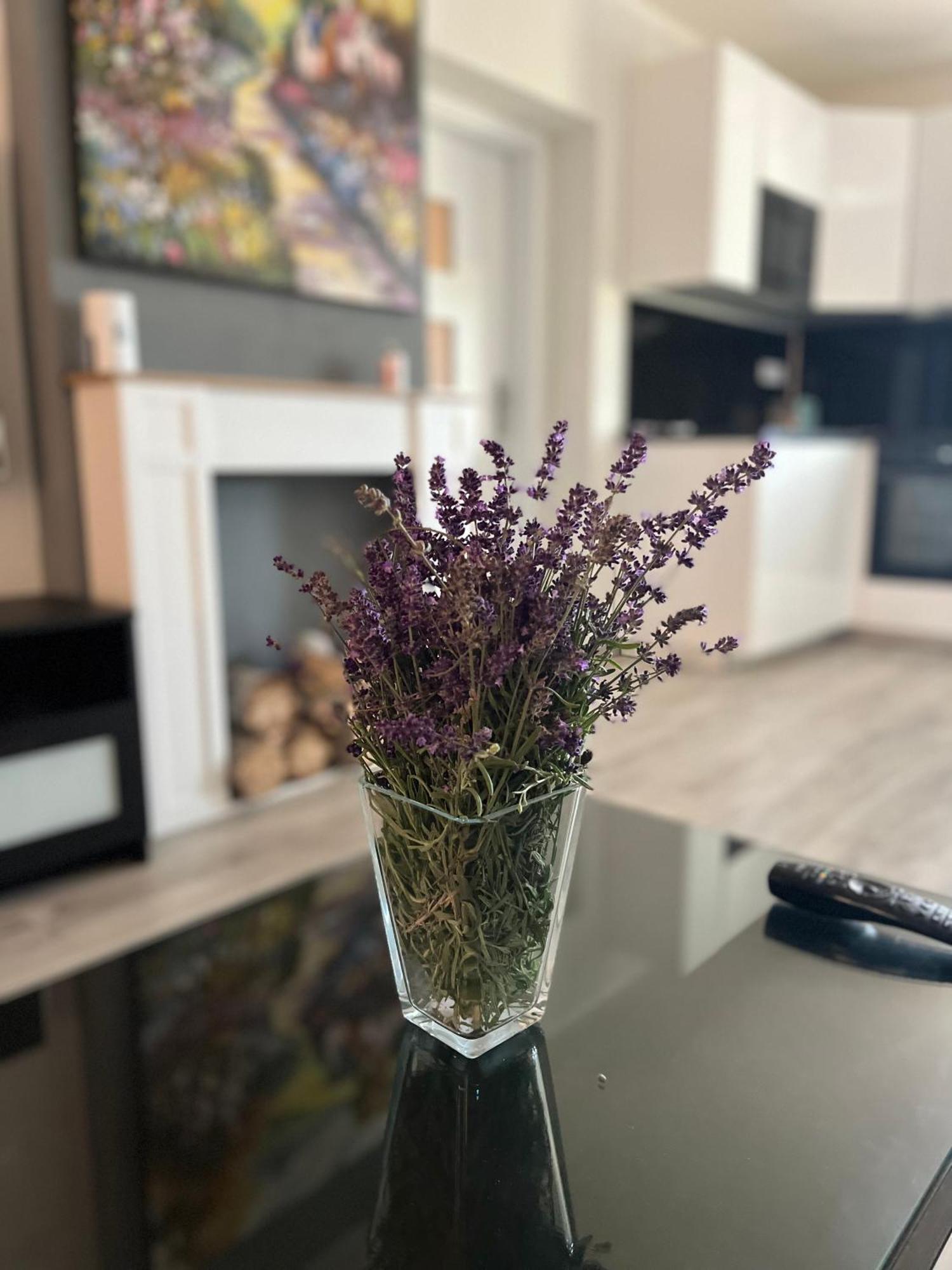 Apartment Golden Prague 78 Vestec  외부 사진